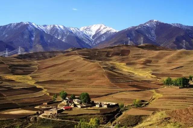 甘肃阳光下的温馨日常记